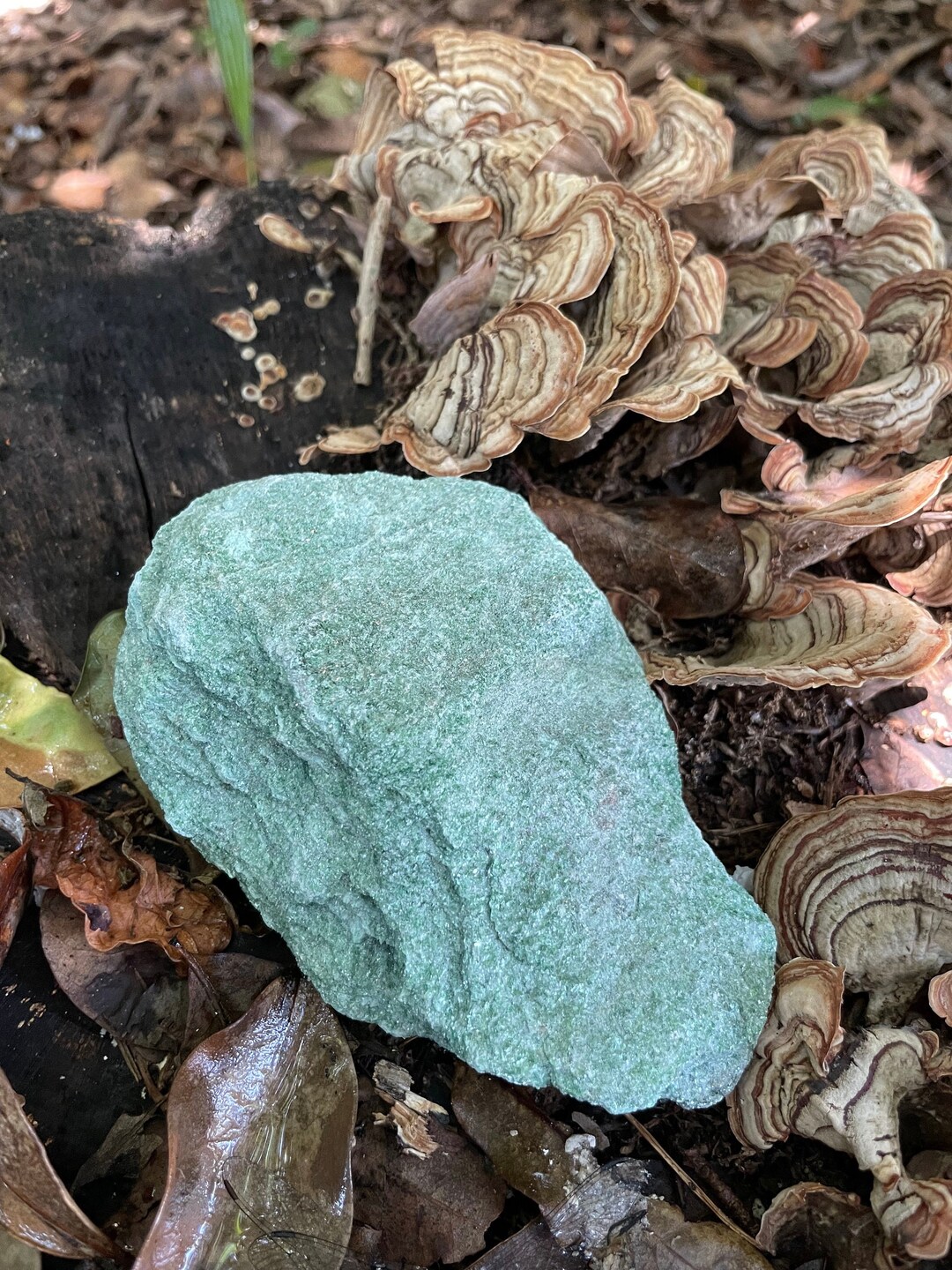 Sparkly Light Green Raw Fuchsite Mica 295g From Brazil - Etsy