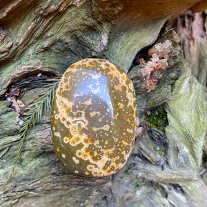 Beautiful Ocean Jasper Palm Stone 107.8g  From Madagascar Mineral Crystal