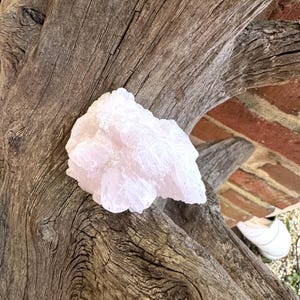 Peut inclure: Un amas de cristaux de quartz rose pâle repose sur un morceau de bois flotté vieilli. Le cristal a un aspect brut et naturel, avec des facettes visibles et une qualité douce et translucide. Le bois présente des motifs de grain complexes.
