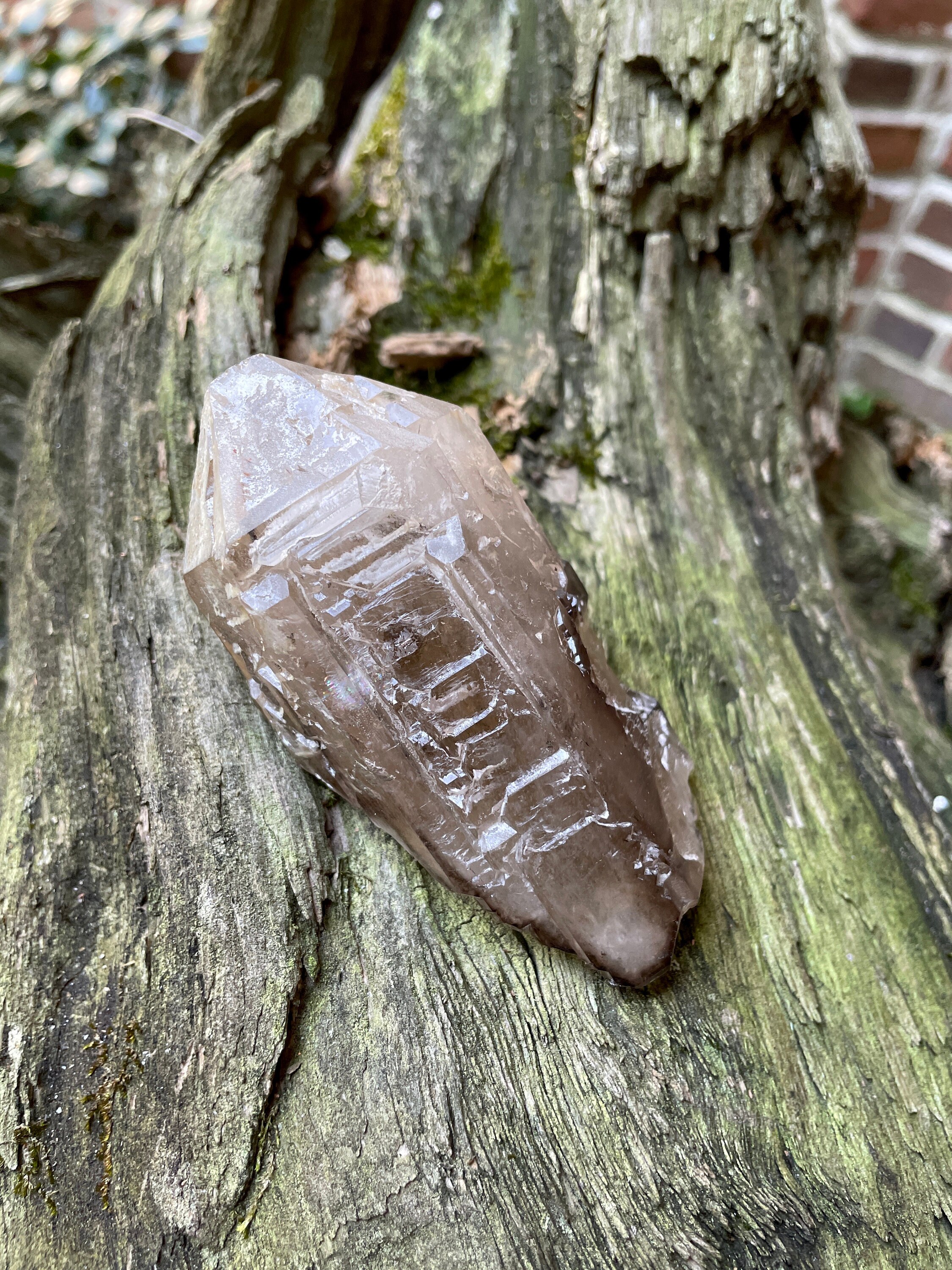 スモーキークォーツ ポイント ブラジル　ミナスジェライス産 ブラジル ミナスジェライス産 スモーキーエレシタルクォーツポイント