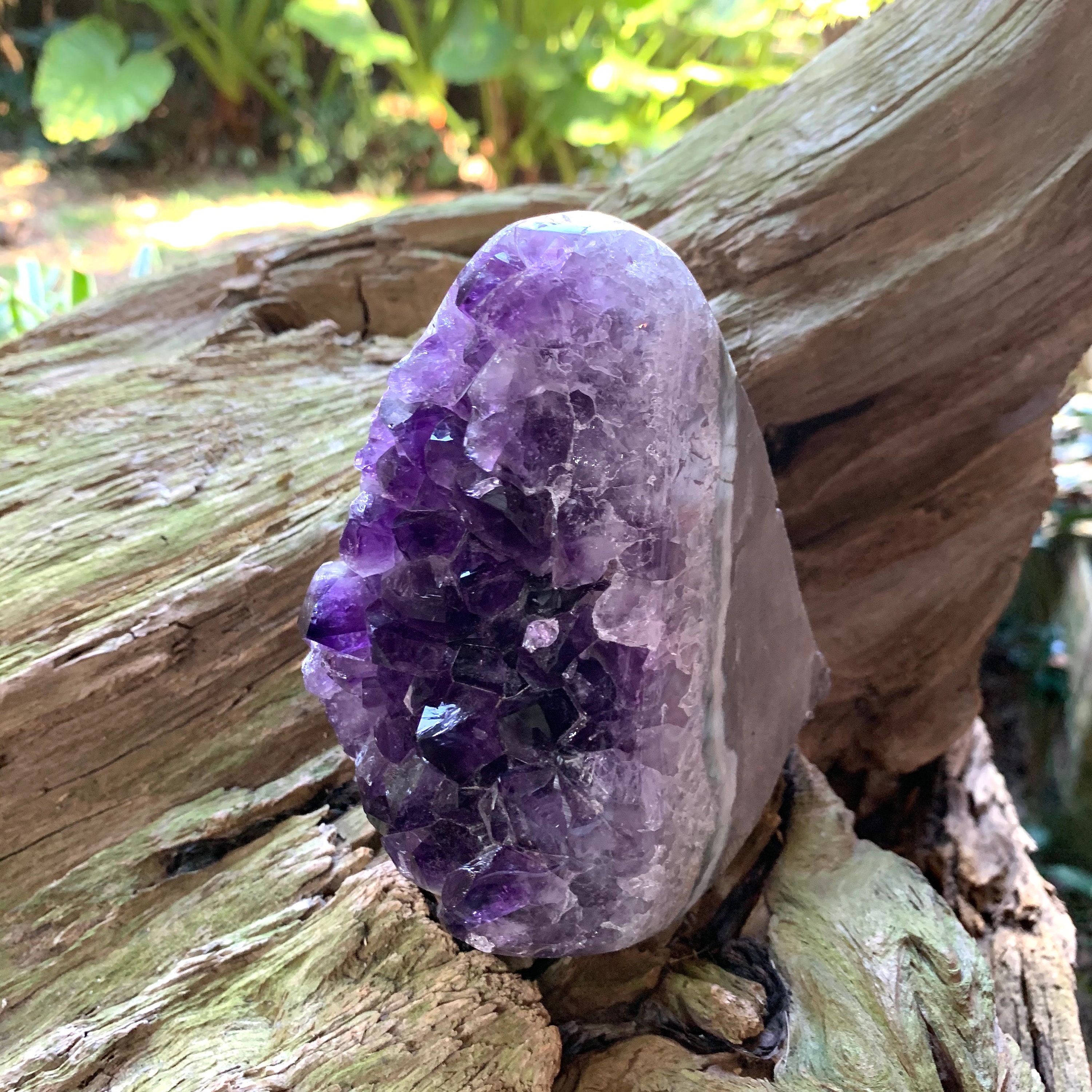 Half Polished Amethyst 990g 2lb 3oz Geode Specimen Brazil | Etsy
