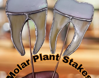 Molar Plant Stakes, aka, IMPLANTS
