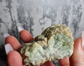 prehnite globular specimen  / healing crystal / healing stone/ display crystal / unconditional love / healers stone / collectors piece