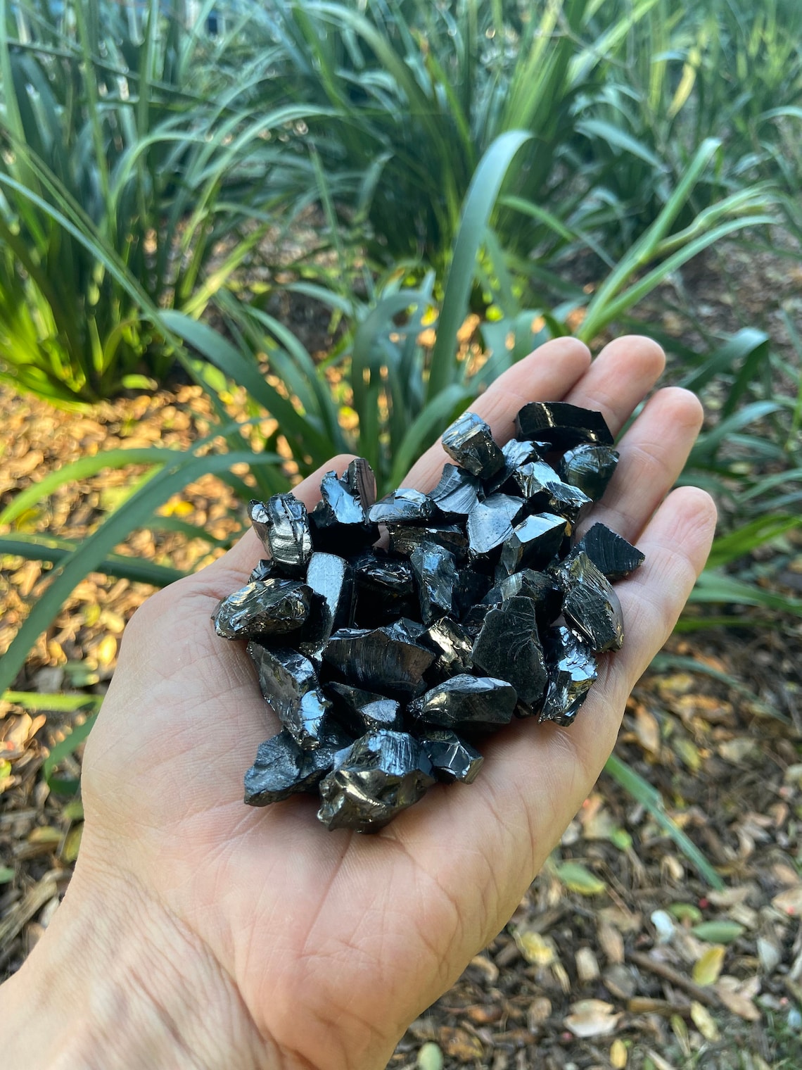 Elite Shungite Stone Noble Shungite Raw Karelia 100 gr Water Etsy