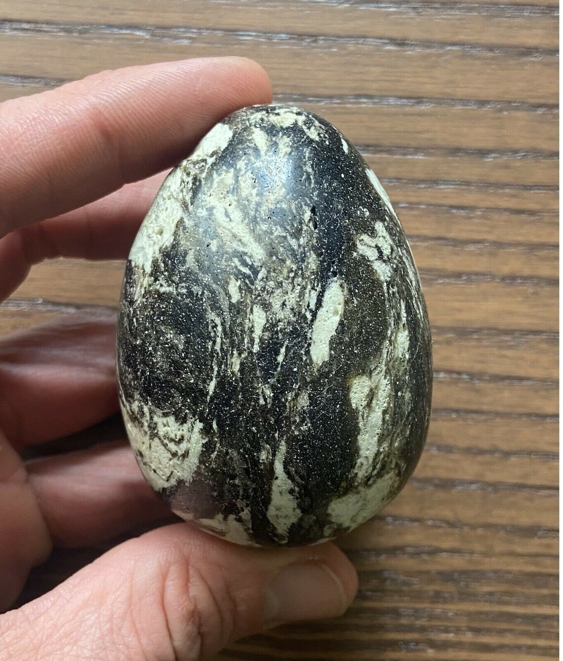 Zhamanshin Egg Impactite 6243 mm Meteorite Egg Glass Egg Etsy