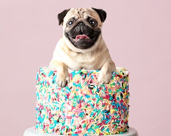 pug dog cakes