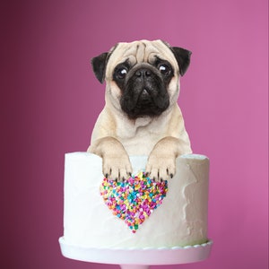 pug cake decorations