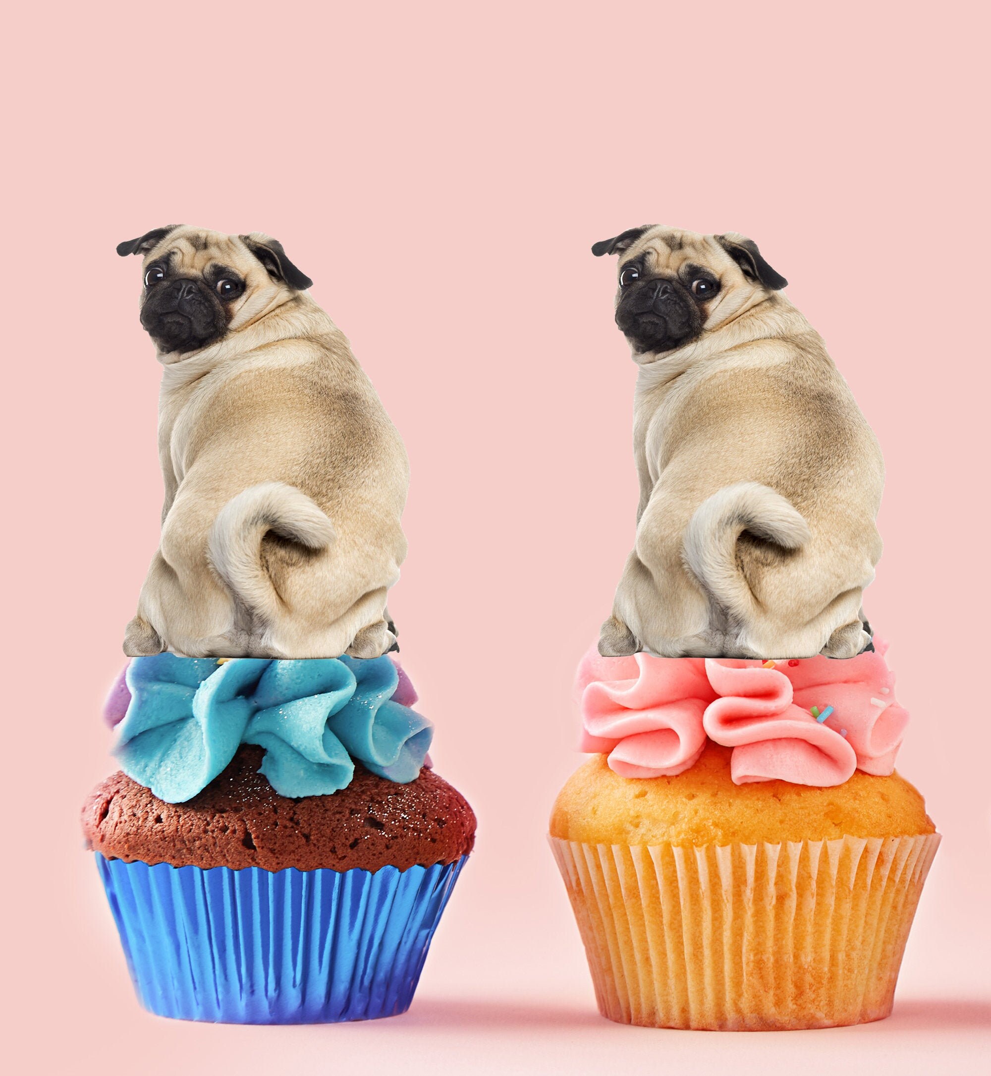 pug cupcake toppers