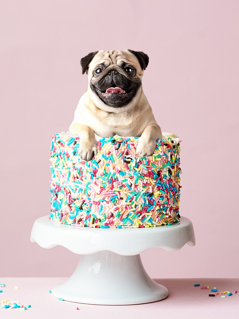 pug cake toppers