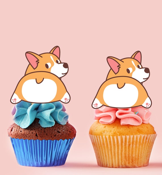 corgi and cupcakes