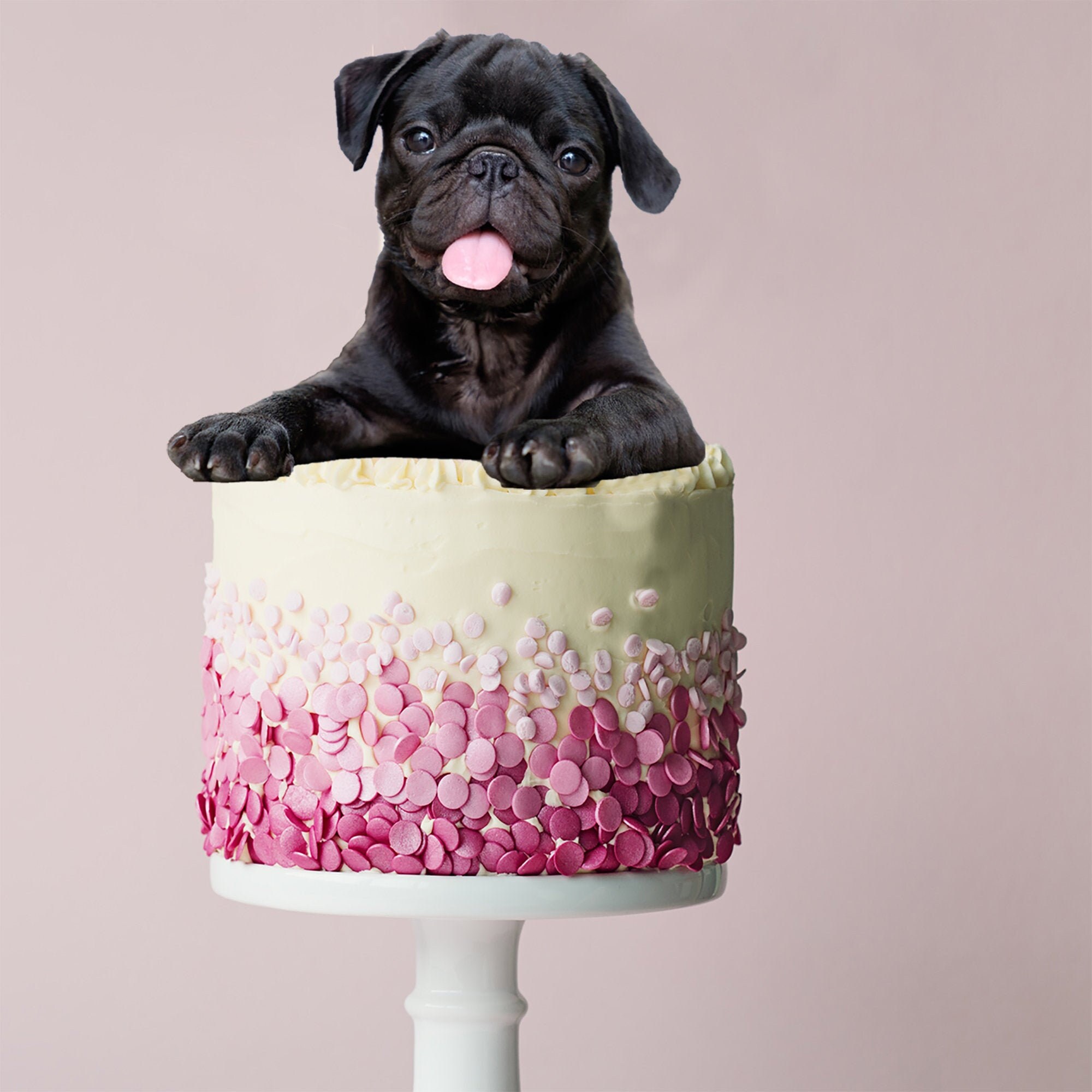 pug cake topper