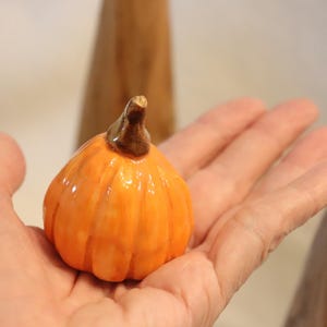Hand sculpted miniature pumpkin sculpted with porcelain clay miniatures pumpkins