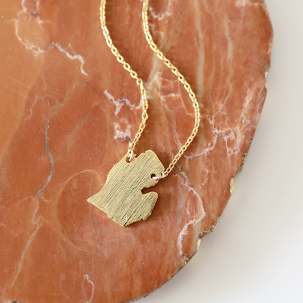 Dainty Necklace, Gold Michigan State Charm Necklace,Michigan State  Necklace ,MI State Necklace, Graduation Gift,3071