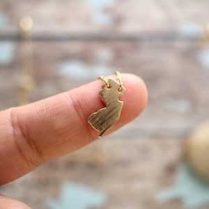 New Jersey State Charm Necklace, Dainty New Jersey State Charm Necklace, Gold State Charm Necklace, Gift for Best Friends , NJ Necklace