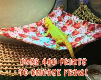 reptile accessories for sale