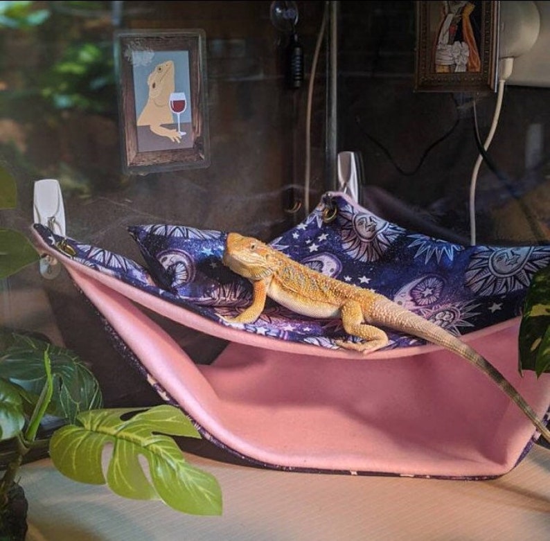 HIDE HAMMOCKS...High quality Bearded dragon/Reptile/small Etsy