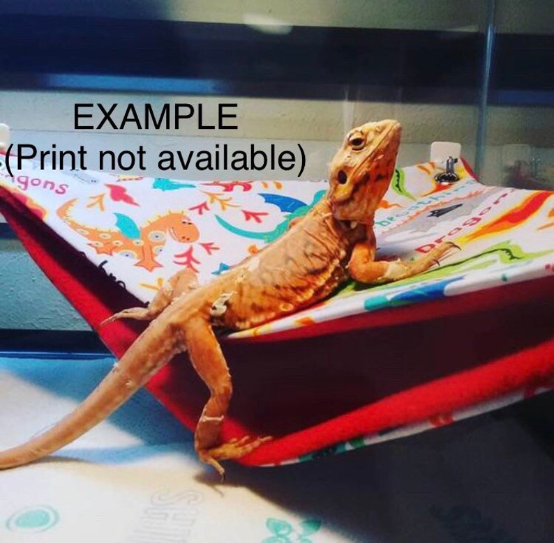 May include: A red and white hammock with a colorful dragon print. A bearded dragon lizard is relaxing in the hammock. The hammock is labeled "Dragons".