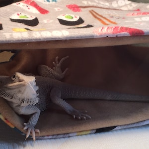May include: A light gray and brown patterned hammock with a light gray bearded dragon lizard resting inside. The hammock has a sushi theme with images of sushi rolls and chopsticks.