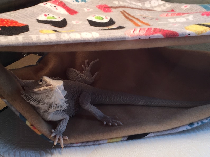 May include: A light gray and brown patterned hammock with a light gray bearded dragon lizard resting inside. The hammock has a sushi theme with images of sushi rolls and chopsticks.