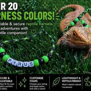 ARNÉS AJUSTABLE…Dragón barbudo / Reptil / Animal pequeño