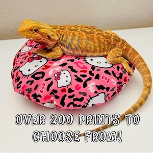 BEANBAGS...Bearded dragon/Reptile/small animal
