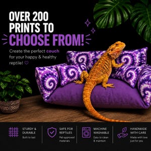 COUCH…Bearded Dragon | Reptile | Small Animal