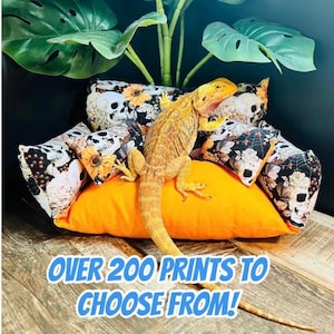 COUCHES…Bearded Dragon/Reptile/Small animal