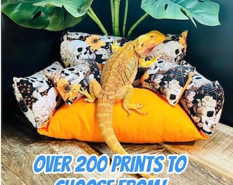 COUCHES…Bearded Dragon/Reptile/Small animal