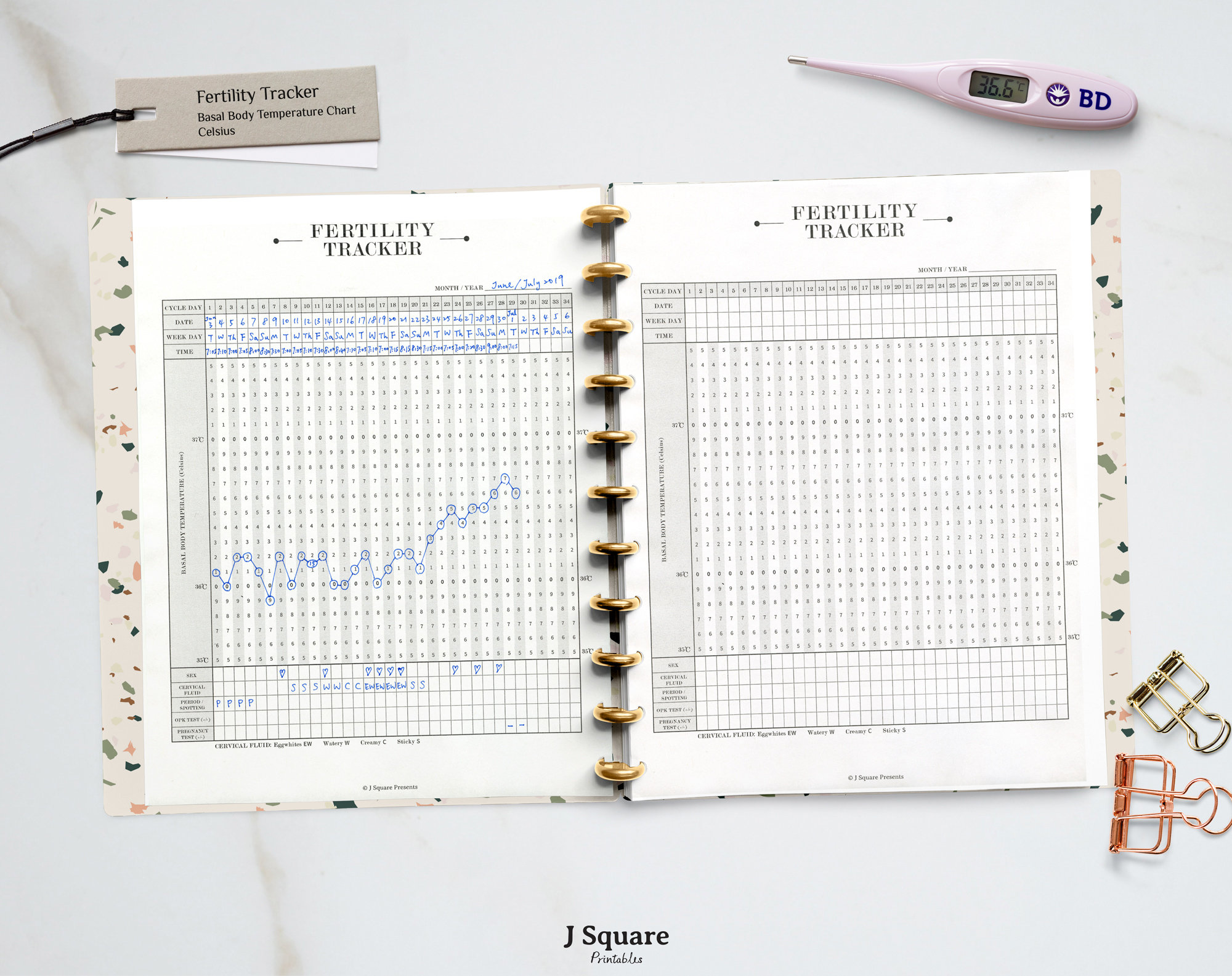 Printable Fertility Tracker, Basal Body Temperature Chart, Health ...