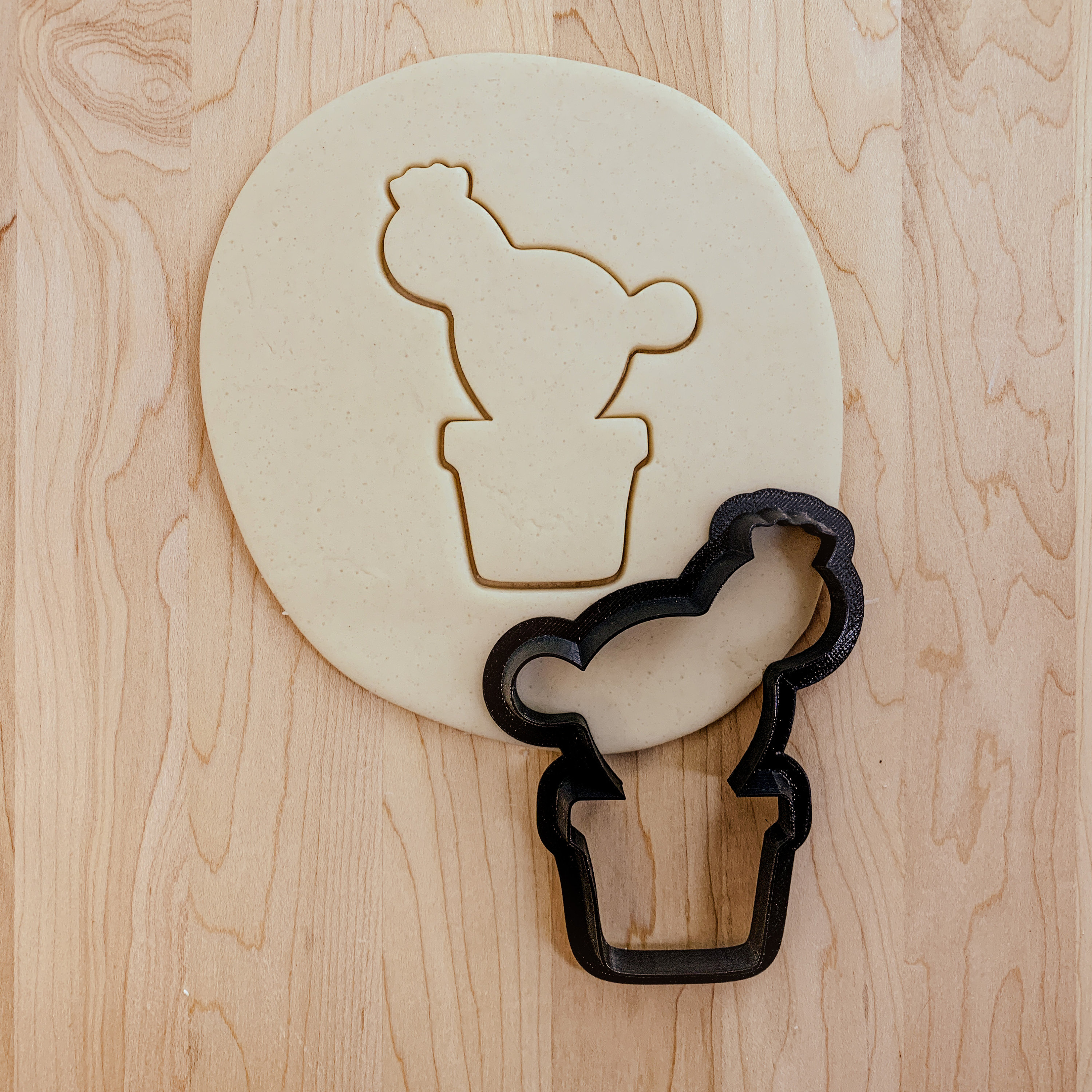 Cactus Cookie Cutter Etsy Canada