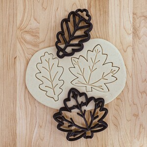 Emporte-pièces D'automne - 5 Formes Feuille D'érable, Chêne, Citrouille - Acier Inoxydable - Pour Biscuits Halloween Thanksgiving