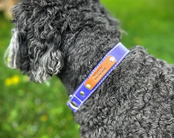 Collares de cuero personalizados para perros