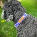 see more listings in the Pet accessories section