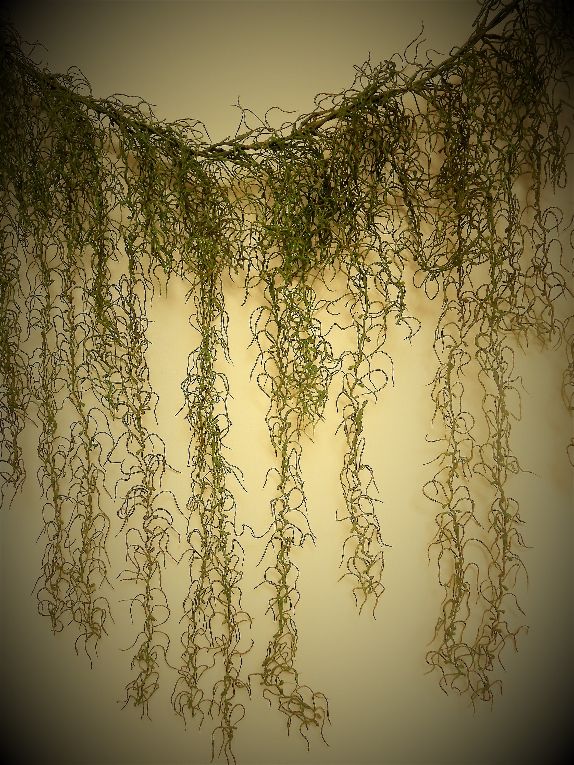 Party Garland Backdrop and Photo Prop / Draping Garland / Etsy