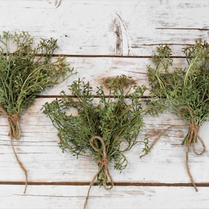 Tiered Tray Wild Mini Greenery Bundles / 3 Greenery Tray Stuffers / Rustic Hand Tied Greenery Bundles / Farmhouse Tiered Tray Decor