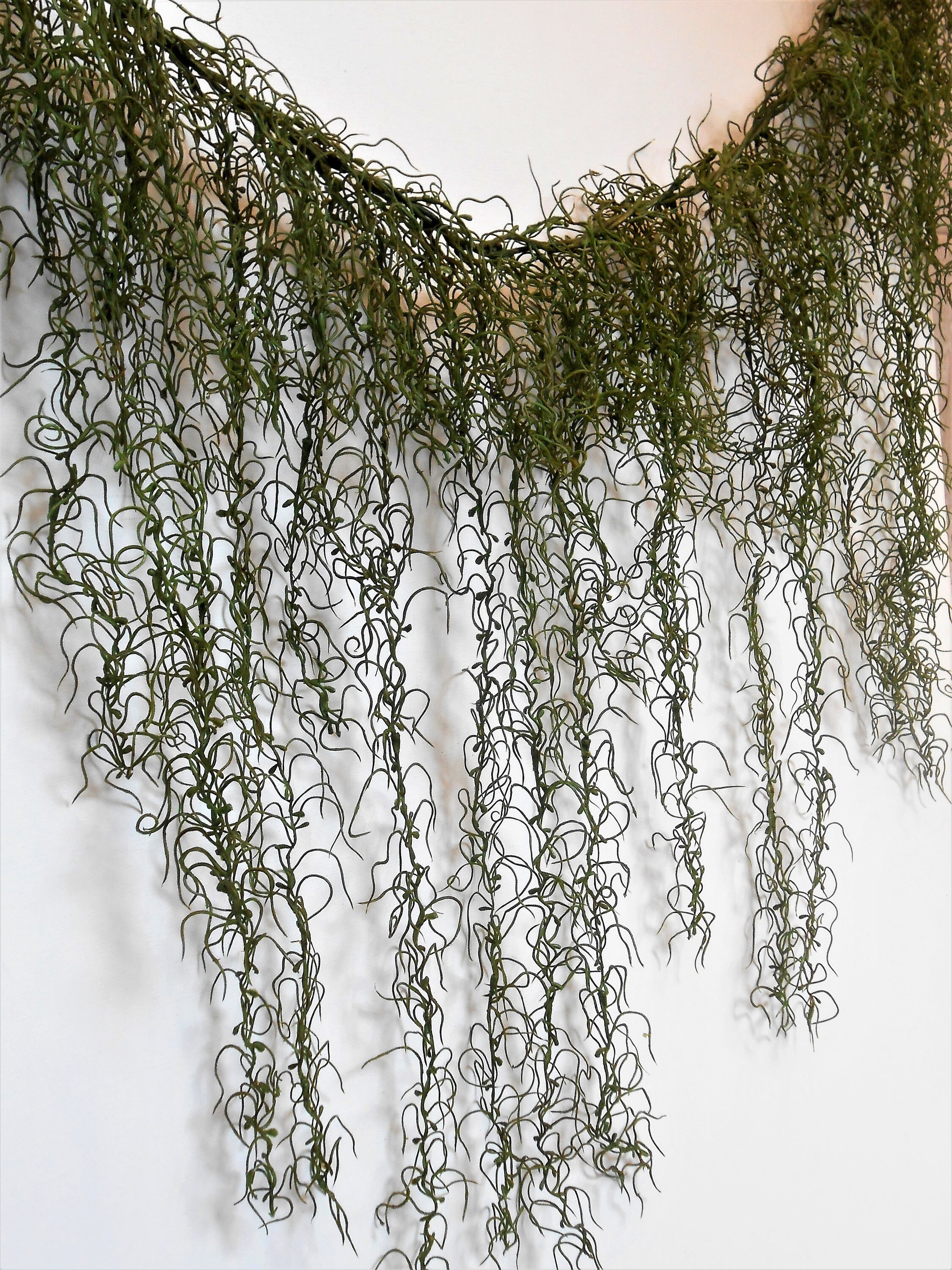 Party Garland Backdrop and Photo Prop / Draping Garland / Etsy