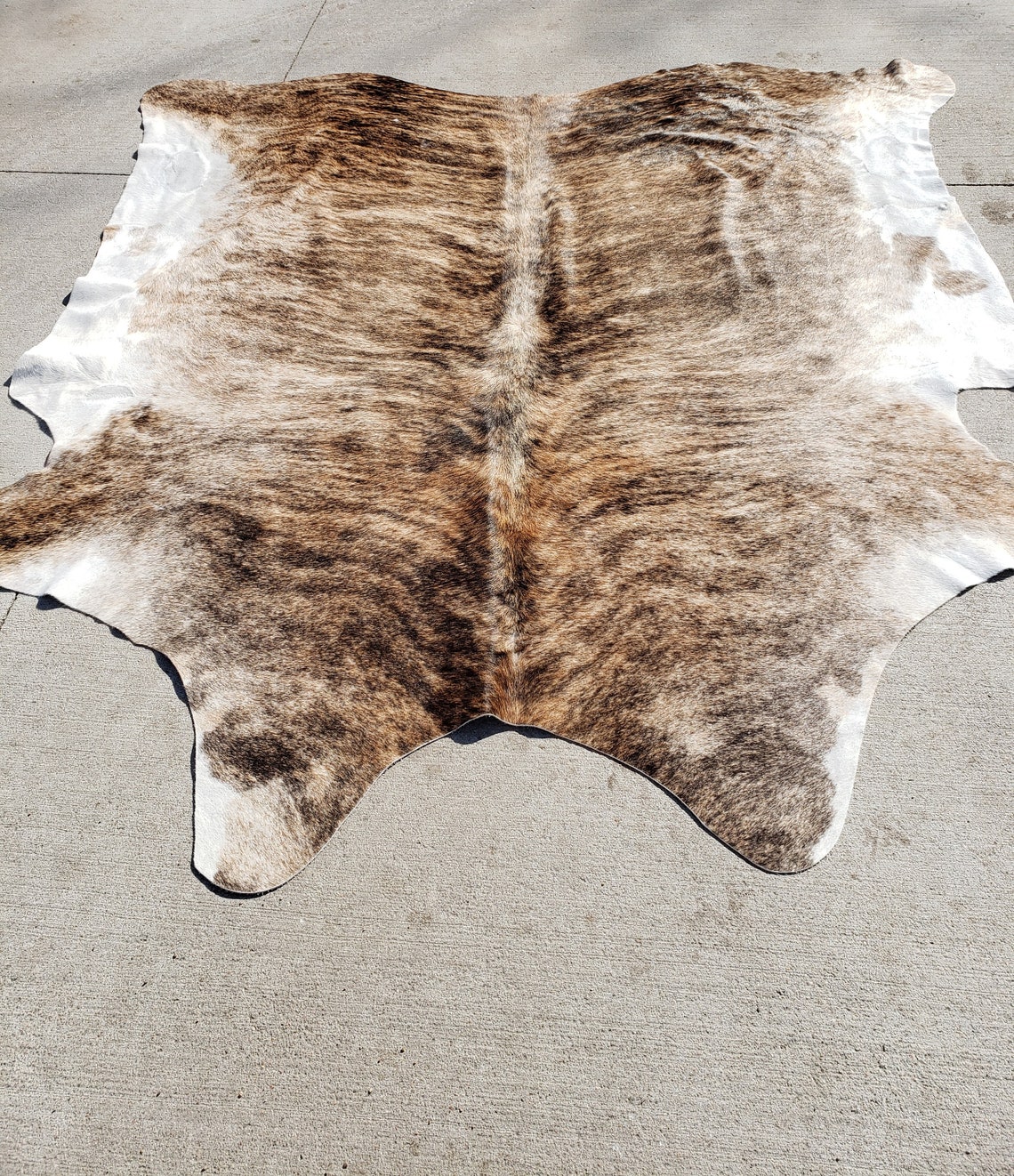 Cowhide Rug Premium Genuine Longhorn Hide XLarge Etsy