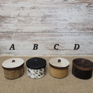 May include: Four round containers with lids. The lids are made of brown leather and the containers are covered in cowhide. The containers are arranged in a row from left to right, labeled A, B, C, and D.