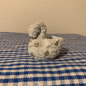 Op de afbeelding: Een kleine witte keramische plantenpot in de vorm van een zwaan met gouden accenten. De pot heeft een getextureerd oppervlak en is perfect voor kleine planten.