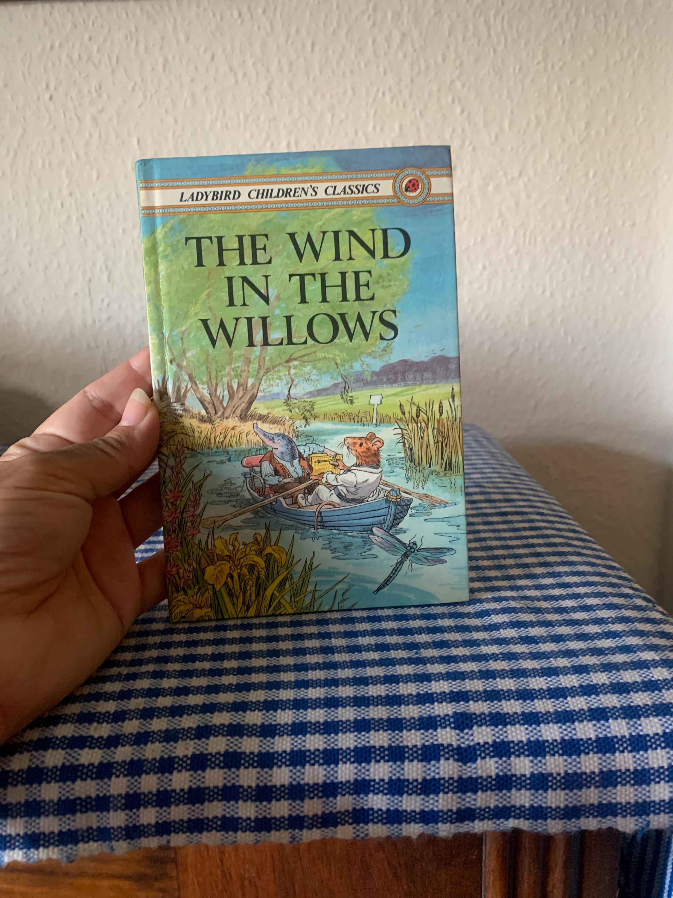 Vintage, 1980s, First Edition, Ladybird, Children’s Classics, The Wind In The Willows, Hard Back, Book, Retro, Stocking Filler, Collectible