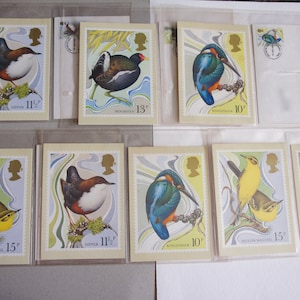Conjunto de Doze, Vintage, 1980, Royal Mail, Comemorativo, Centenário, Casco, Sociedade de História Natural, Pássaros, Lançamento, Selos, Cartões Postais, Datado