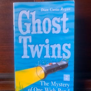 Vintage, 1995, First Edition, Ghost Twins, The Mystery Of One Wish Pond, Dian Curtis Regan, Children’s, Fiction, Paperback, Book, Retro, Son