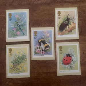 Lot de cinq, vintage, 1985, insectes, Gordon Beningfield, art, illustration, Royal Mail, commémoratif, libération, timbres, cartes postales, cadeau, papa