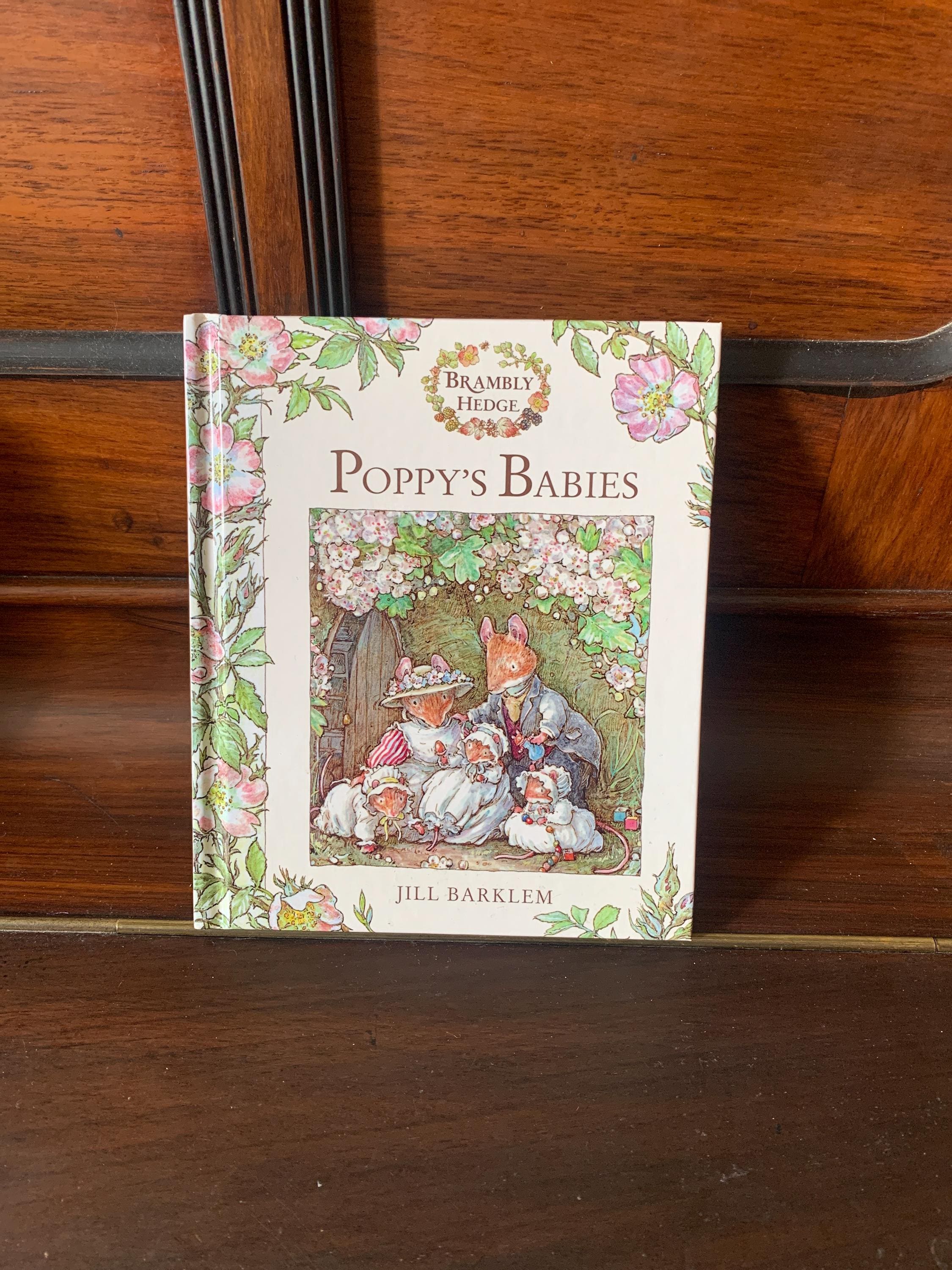 Brambly Hedge 1996 - Etsy