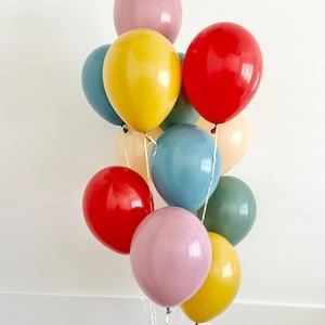 Boho Rainbow Latex Balloons~Red Mustard Blue Slate Willow Blush Canyon Rose~Bright Balloons~Modern Boho Rainbow~Party Animal~Retro Balloons