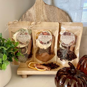 Fall Simmer Pot Kit: Natural Home Fragrance - Autumn Potpourri