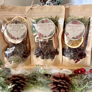 Christmas Simmer Pot Kit: Holiday Home Fragrance