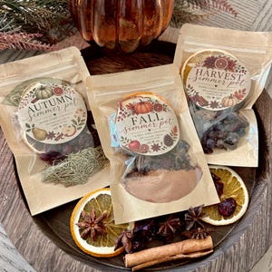 Mini Fall Simmer Pot Kit: Natural Home Fragrance - Autumn Potpourri