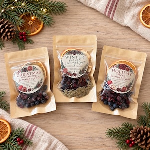 May include: Three kraft paper pouches containing dried fruit, berries, and spices for simmer pots. Each pouch features a circular label with festive botanical illustrations and text reading Christmas Morning, Winter Forest, or Holiday Cheer simmer pot.