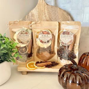 Fall Simmer Pot Kit: Natural Home Fragrance - Autumn Potpourri